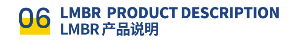 LM BR母线残压保持装置(图19)